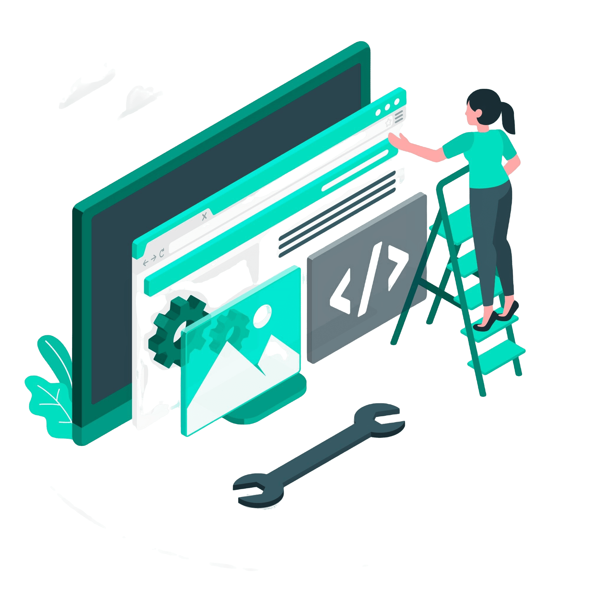 Custom Website Development image